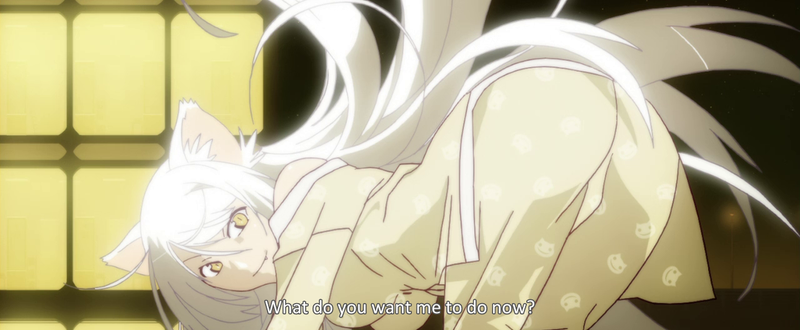 Tsubasa is even more suggestive as a cat.